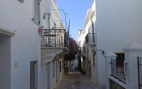 Tinos Bougainvillea